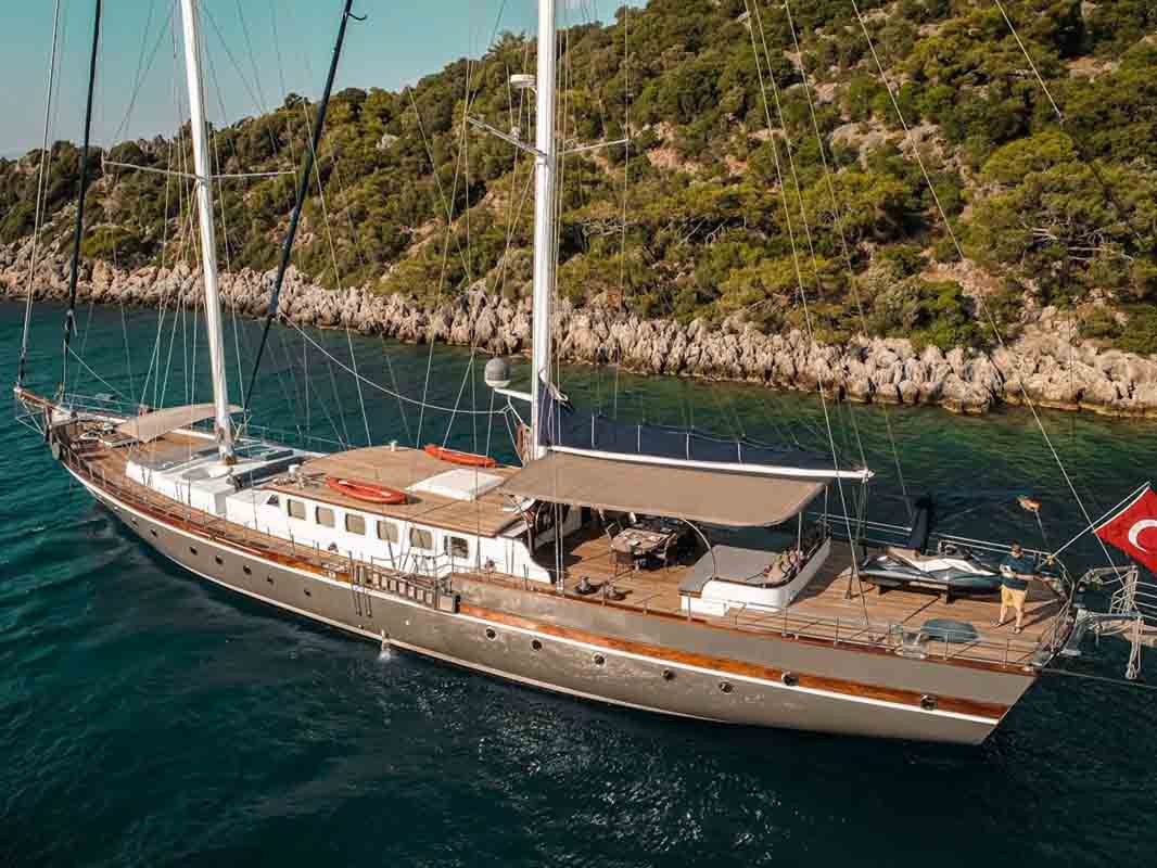 nautilus1_1