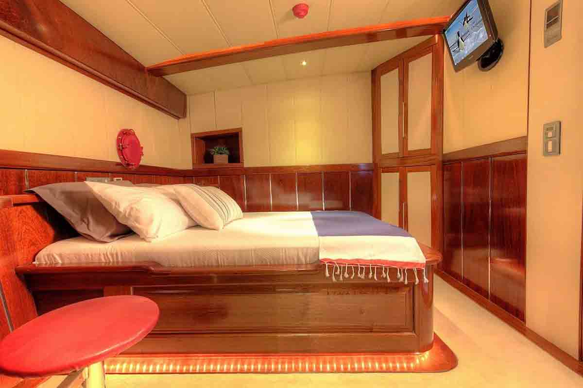 nautilus25