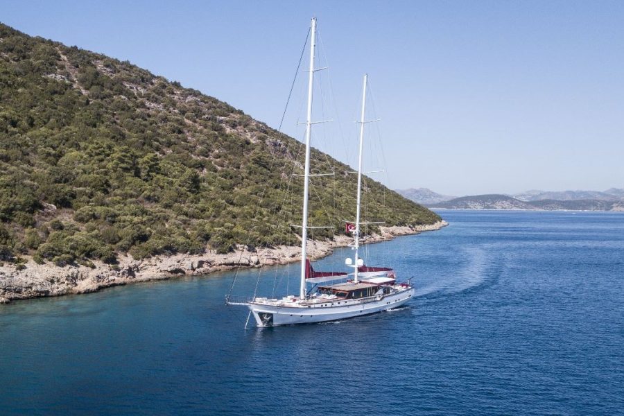 THANTS AMORE EX crop